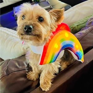 Target Dog Rainbow Light Up Costume
